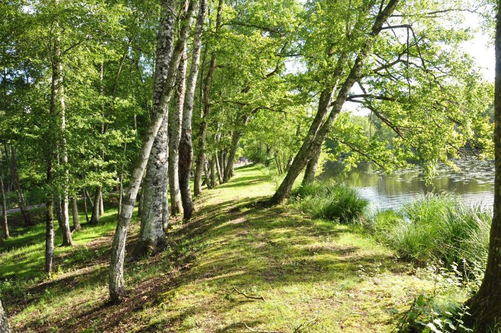 Hotel - Restaurant Le Moulin De Villiers Nouan-le-Fuzelier エクステリア 写真