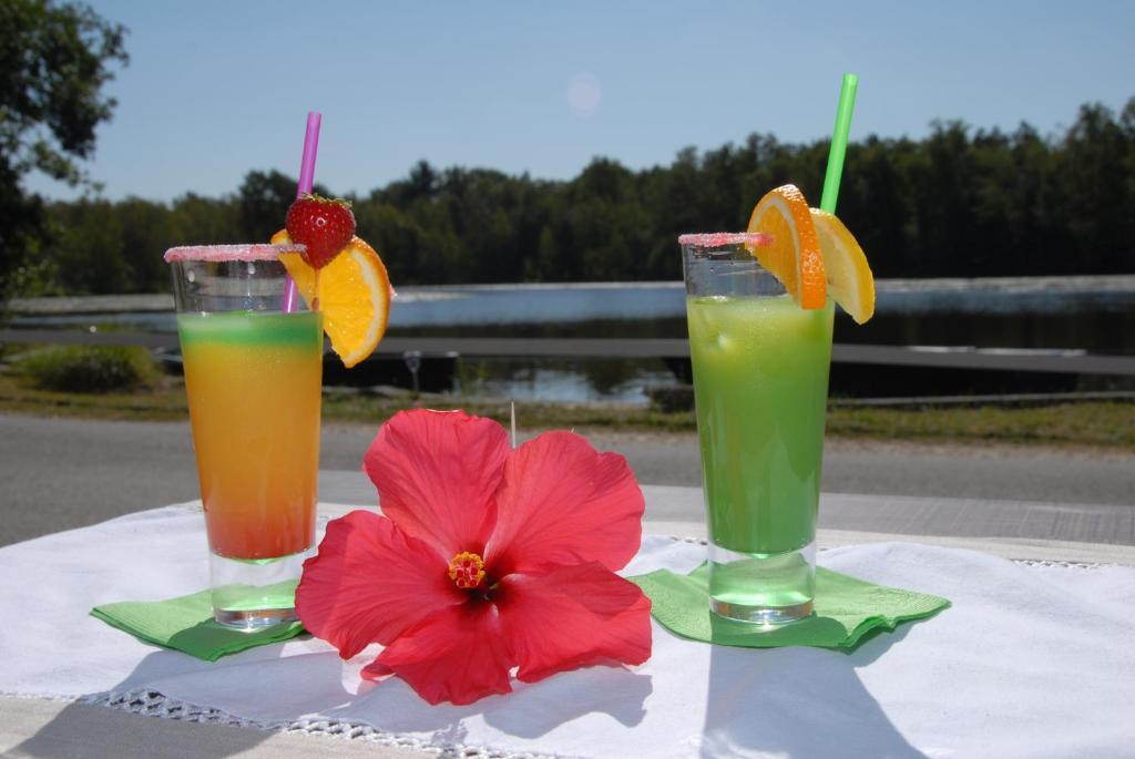 Hotel - Restaurant Le Moulin De Villiers Nouan-le-Fuzelier エクステリア 写真